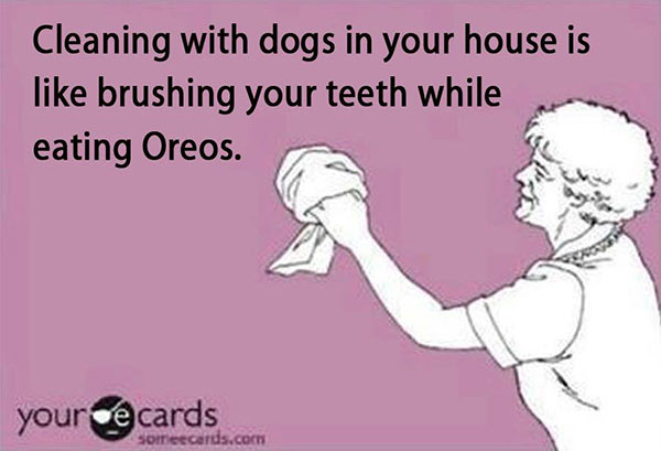 Cleaning-with-dogs-in-your-house