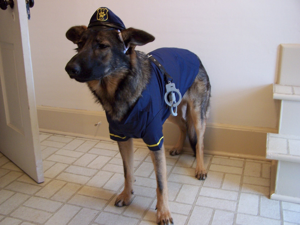 Cop German Shepherd