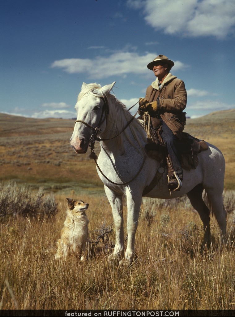 No Known Restrictions: Shepherd with his Horse and Dog by Russell Lee, 1942 (LOC)
