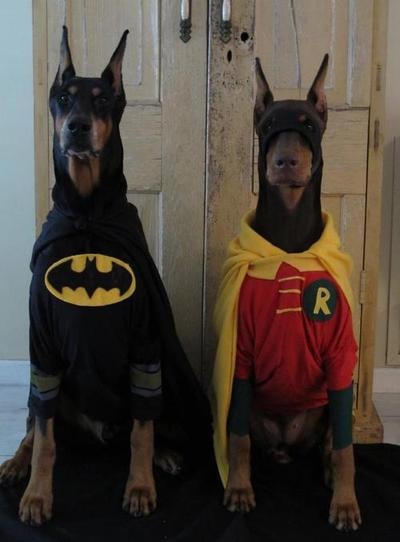 Batdoberman and his sidekick