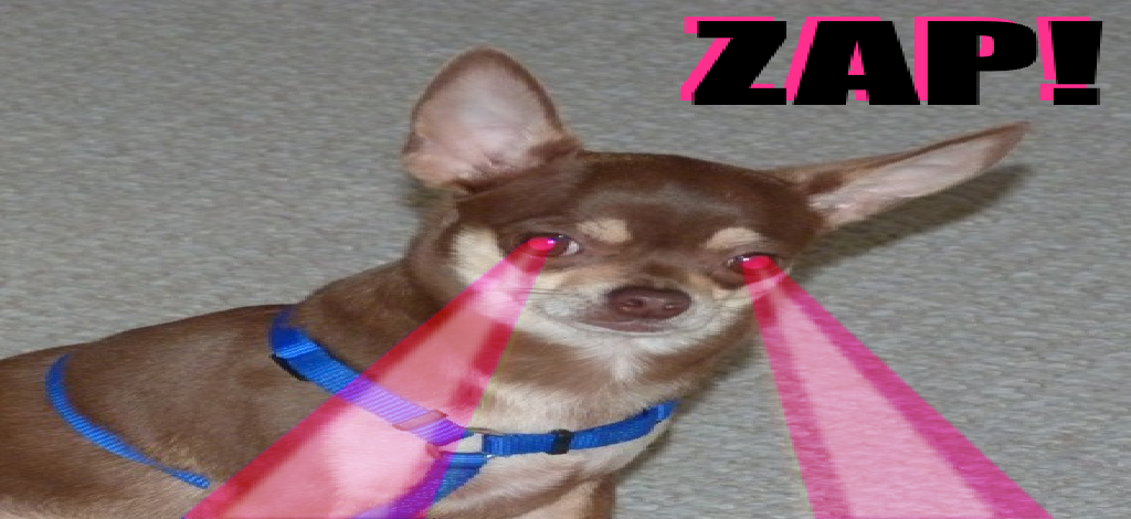ZAP! CHIHUAHUA WITH LASER EYES!
