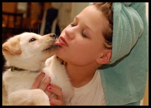 The Truth Behind Pet Kisses