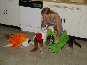 Did You Know About National Dress Up Your Pet Day