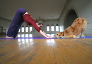 Ever Heard of Doga